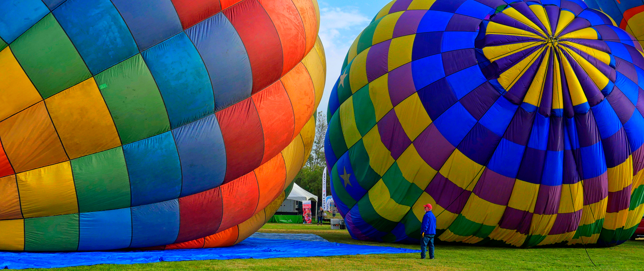 Rosemary Miklitsch - The Wizard of Oz