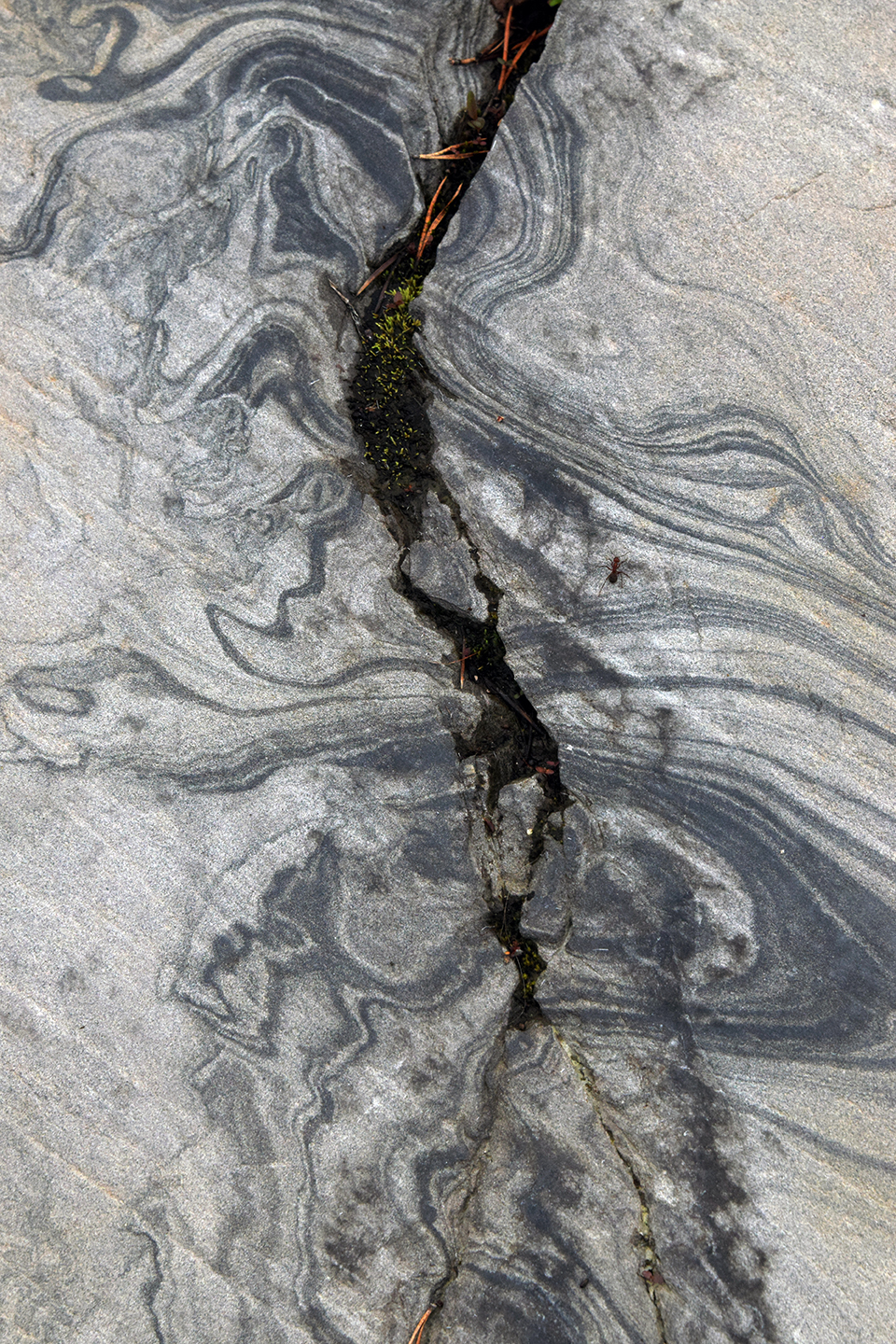 Stephanie Gambini - Stonewave